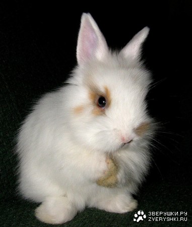 �������� ����� :)