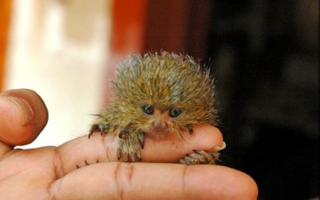 ������� :)