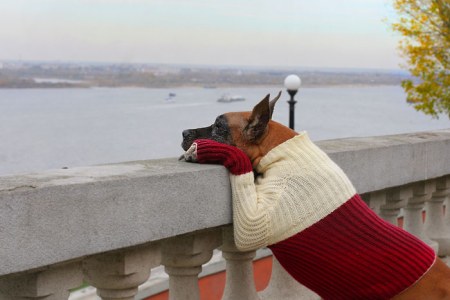 ������ ����! :)