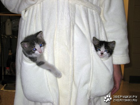 �� ��� ������! :)