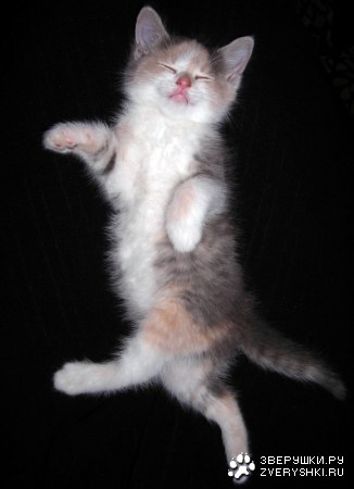 ������� ��� ����? :)