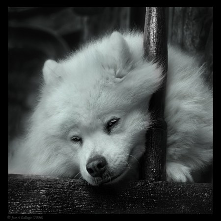 �������� ������...