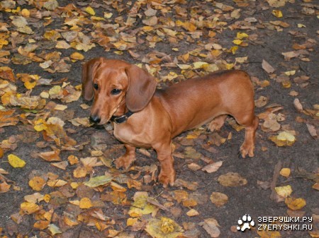 �� ����� ��������� ����� 2