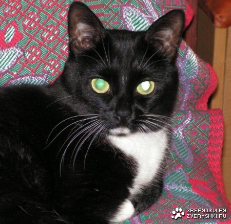 ������� :)