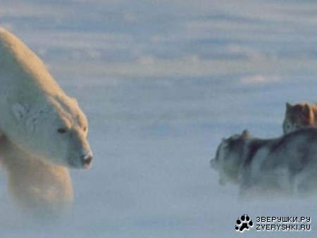 ��������� ��������� ��������� ���� ;)