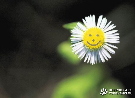 ���������� ��� ���! :)