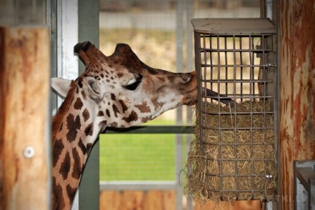 � ������ ��������... :)