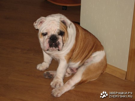 ���, �����, ����� ���� �� �����... ;)