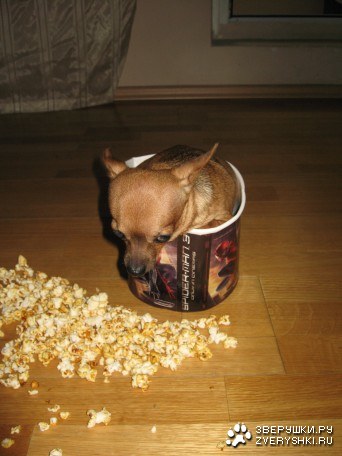 ��������� ����� :)