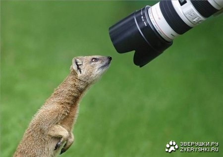 ����������! ��� ������� :) (8 ����)