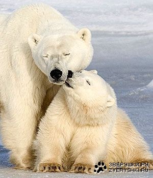 ��������� ����� �������� :) (4 ����)