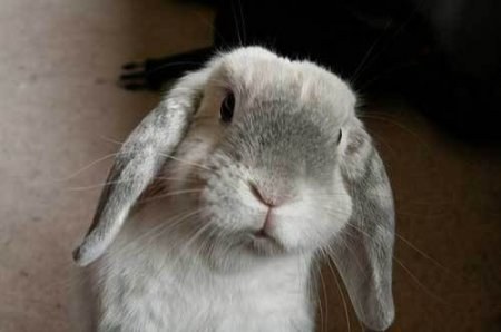 ��, �������� �������� :) (8 ����)