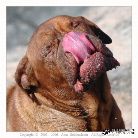 ����������? :)