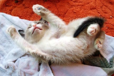 �������� ������� :)