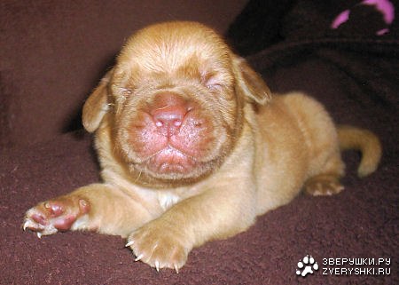 ��������� ��� :)