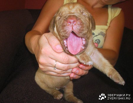 ��������� ��� :)