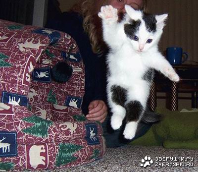 ����-�������� :) (12 ����)