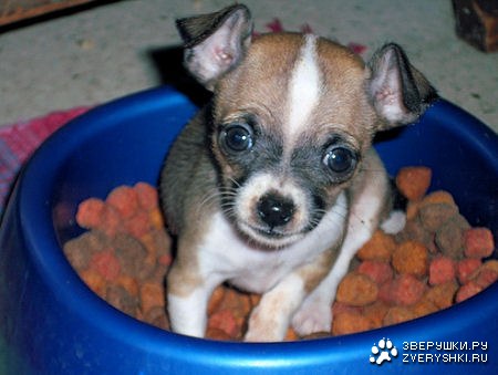 ��� �� ��! :)