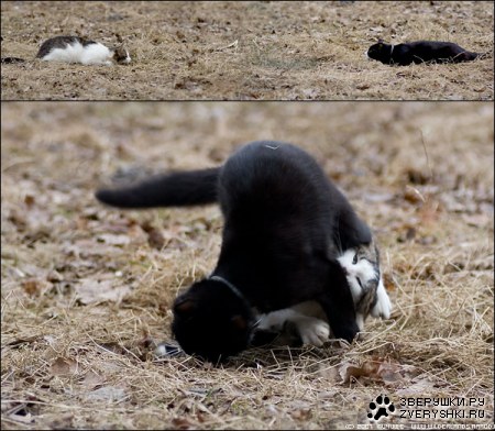 ������� ����� :) (6 ����)