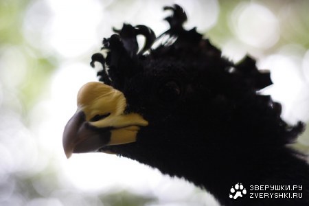 �������� ���� �������� :) (7 ����)