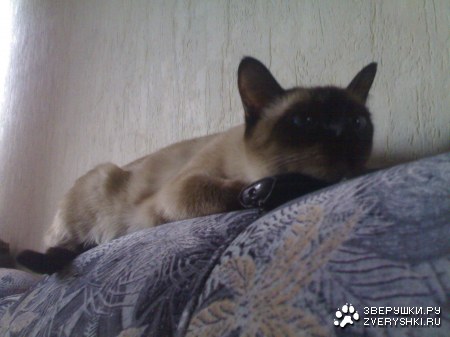 ������� :)