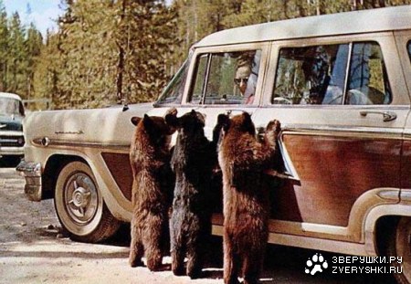 ���������, ����������! ��� �� ������... :)