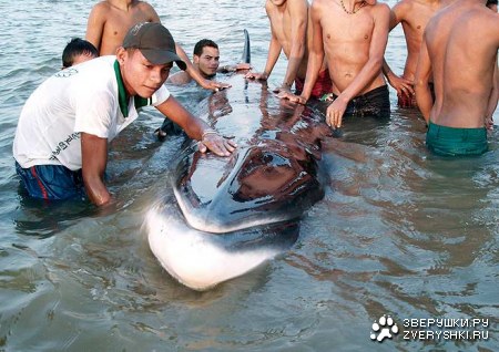 ������������� ��� :)