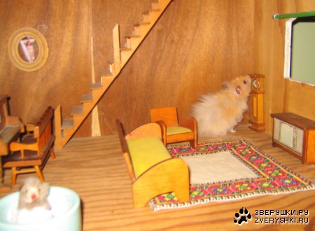 ����� ��� ������� :)