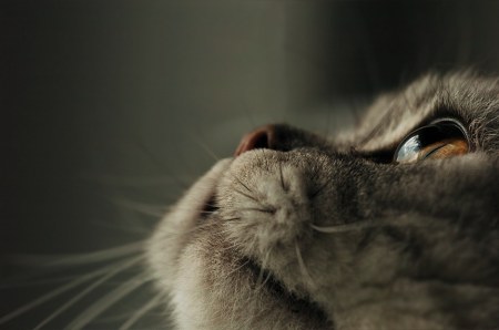 ������������ ��� ������� ������! :)