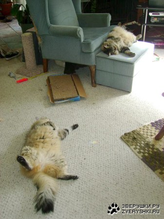 ��� ��� ��������! :)