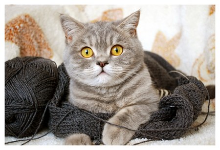 ���� ����������! :)