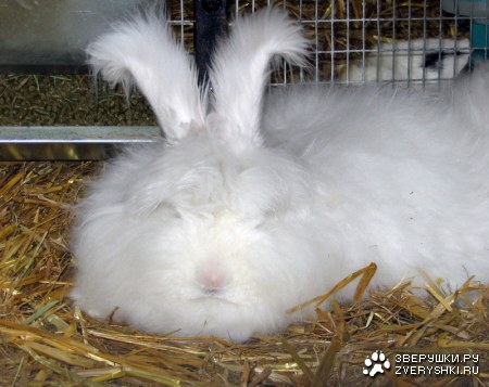 �������� ����� ���� :)