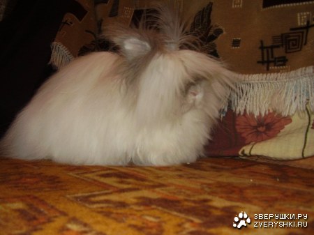 ��������� ������ ���� ����� ������!