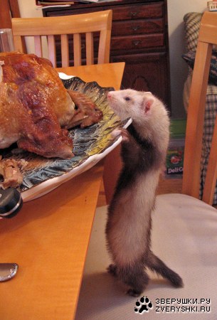 ��� ��� � ��� ������������? :)