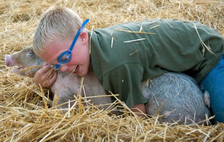 ������ �� ���������� :)