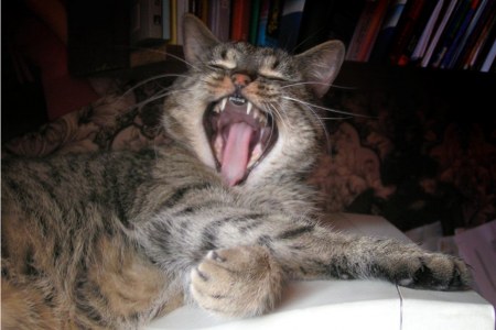 �������� ������ :)