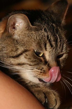 �������� ������ :)