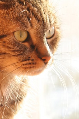 �������� ������ :)