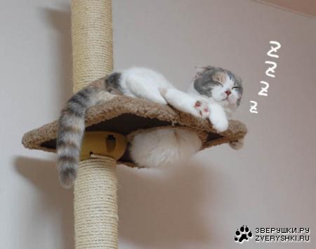 ������ � ���������� :)