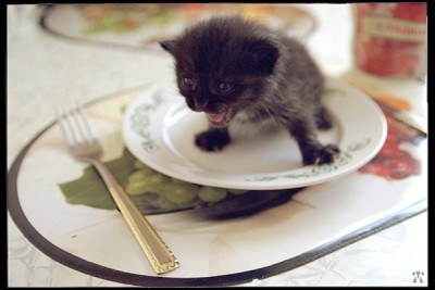 ��, ��� ��� �������?! :)