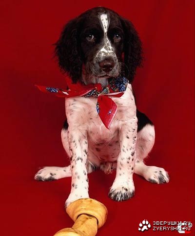 ����� ���, ������ ���� :)