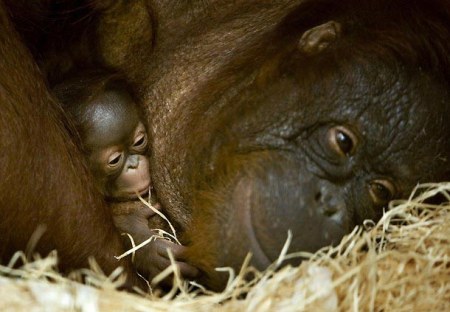 ���������� ����! :)