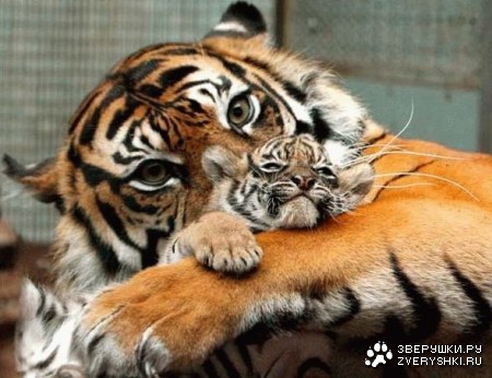 �����������... :)