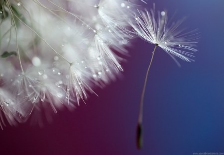 ������� ���� :)