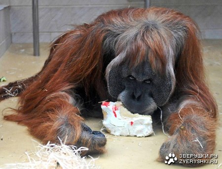 ��� ���� ���������! :)