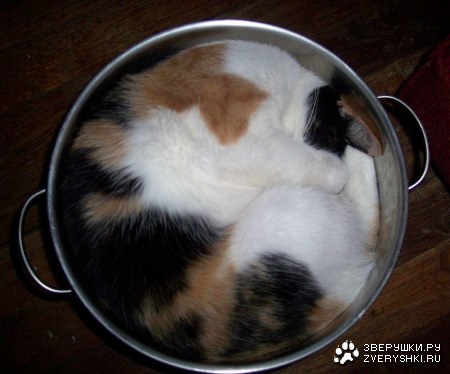 ������ ��� �������... :)