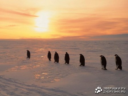 ���� �� ������... :)