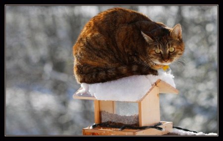 ����� ��������... :)