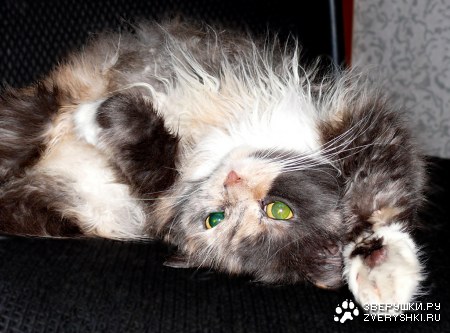 ����������� ��� ��������! :)