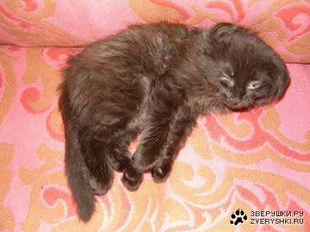 ��� ������ ��� �����?! :)